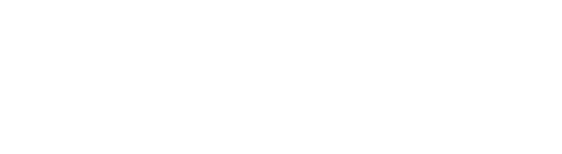 logo_ci_white_2.png